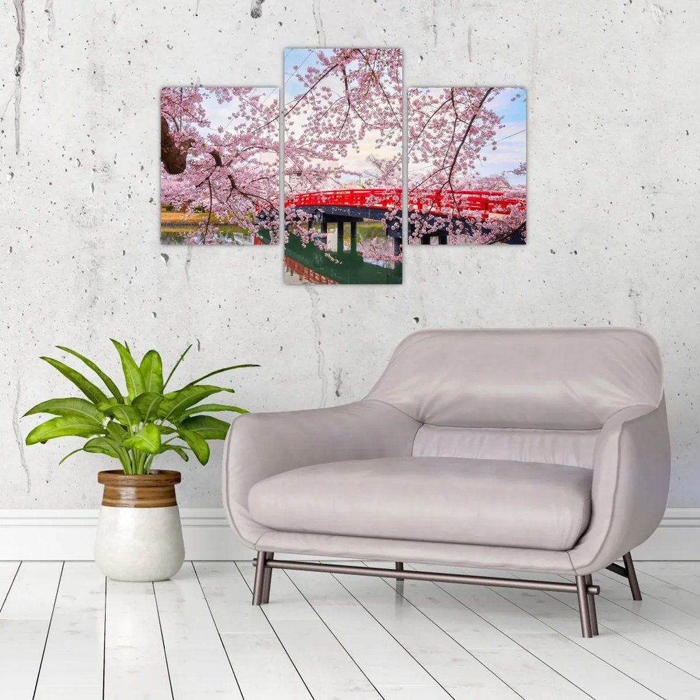 Tablou - Hirosaki, Japonia (90x60 cm)