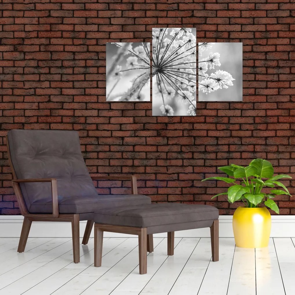 Tablou - Floare în timpul iernii (90x60 cm)