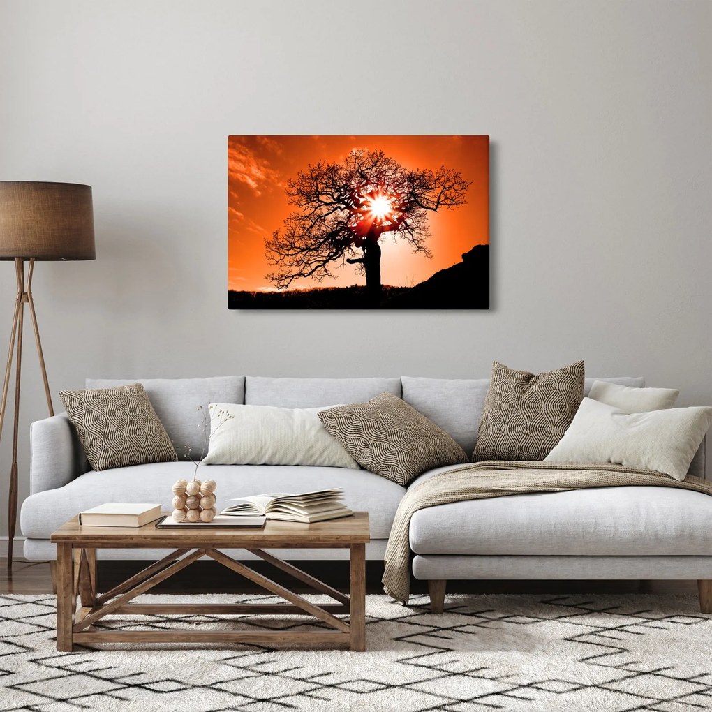 Tablou - Fag la apus de soare (90x60 cm)