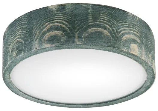 Brilagi - Plafonieră PINO 1xE27/15W/230V pin/verde Ø 27,5 cm