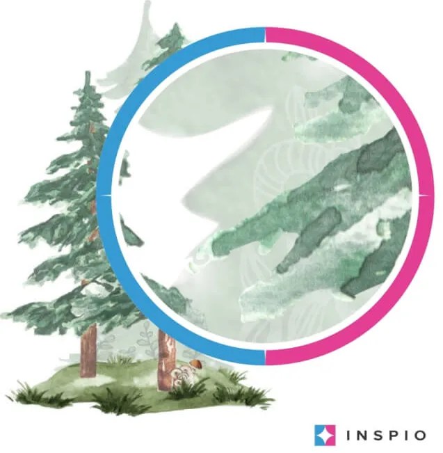 INSPIO Copaci coniferi - autocolante în acuarelă pentru perete