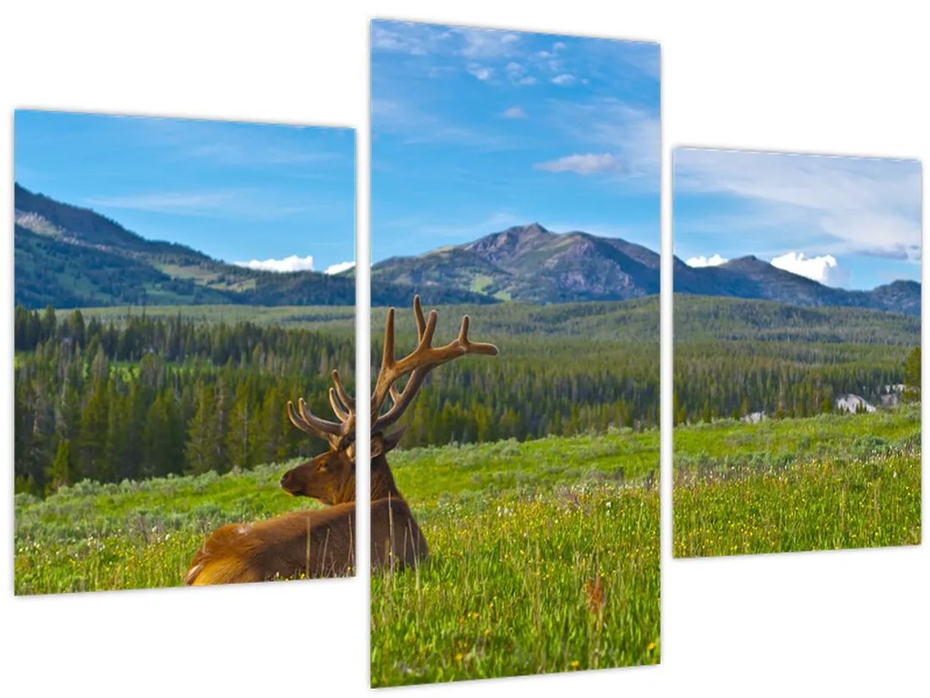Tablou - Cerb în luncă (90x60 cm)