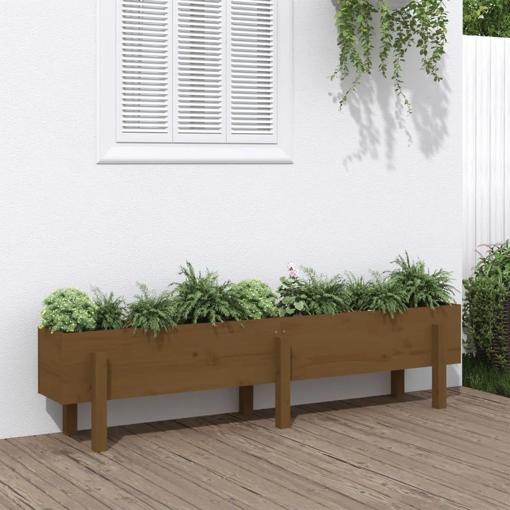 vidaXL Strat înălțat de grădină maro miere 160x30x38 cm lemn masiv pin