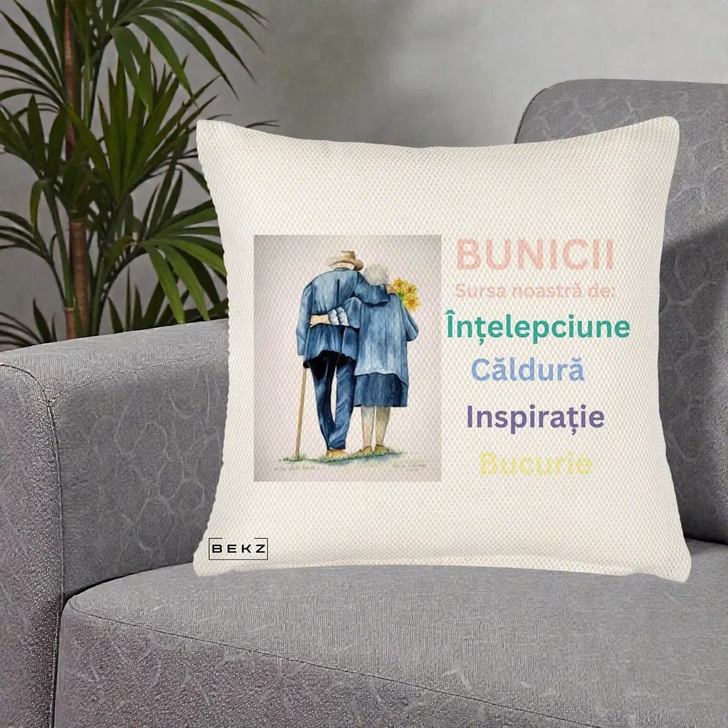 Cadou pentru Bunici - Perna Personalizata Bunicii Sursa Intelepciune Caldura Acuarela, 40x40 cm, Crem Reliefat, Husa Detasabila, Perna Inclusa, BEKZ®