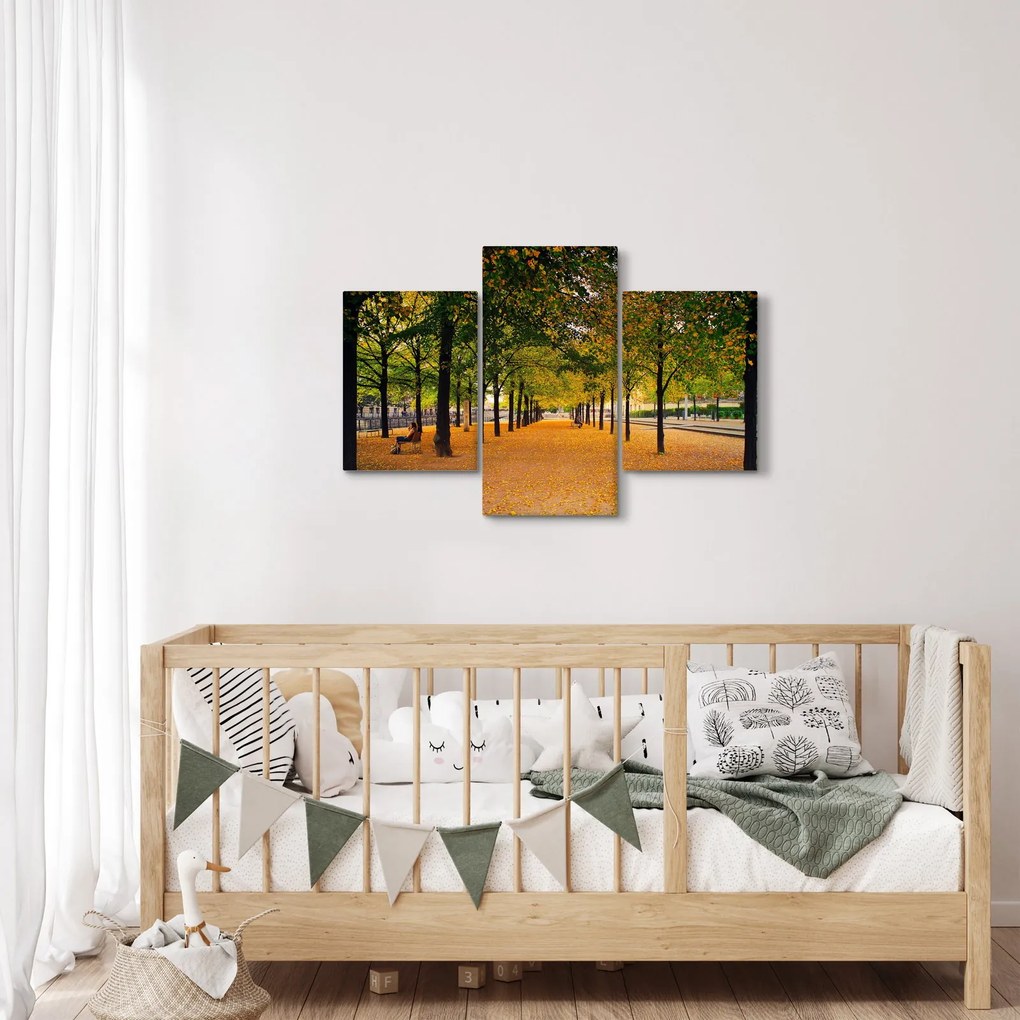 Tablou cu alee cu copaci în toamnă (90x60 cm)