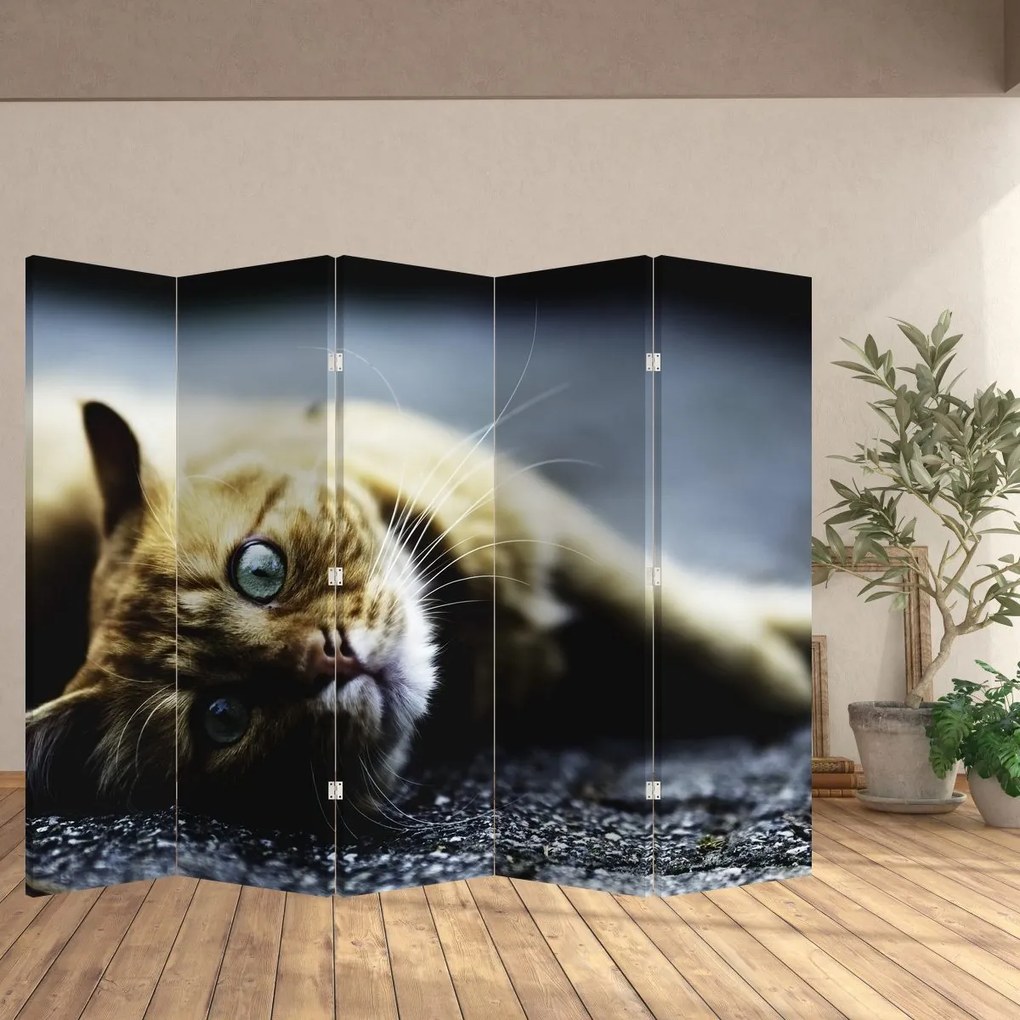 Paravan - Pisica (210x170 cm)