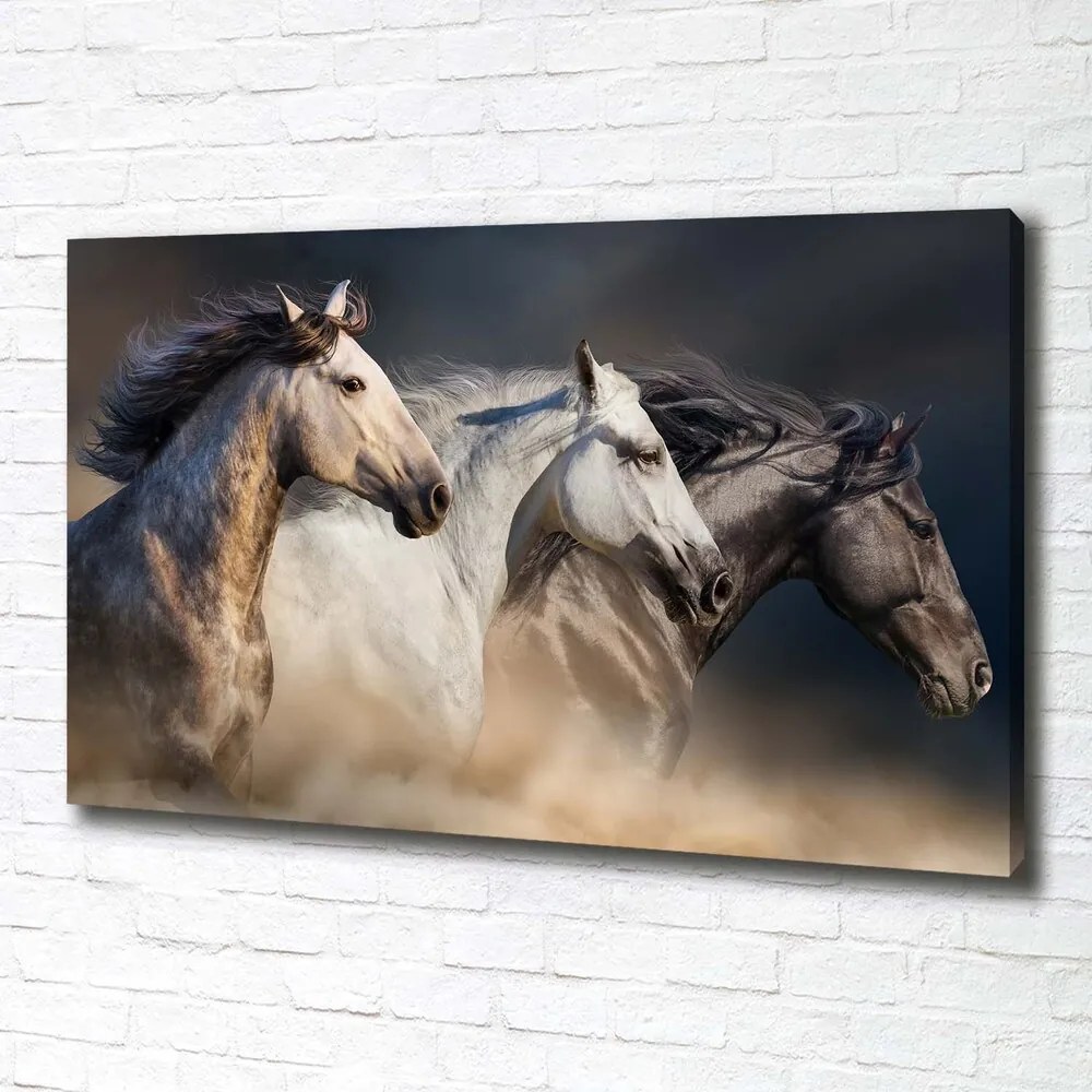 Imprimare tablou canvas Galopantă cai