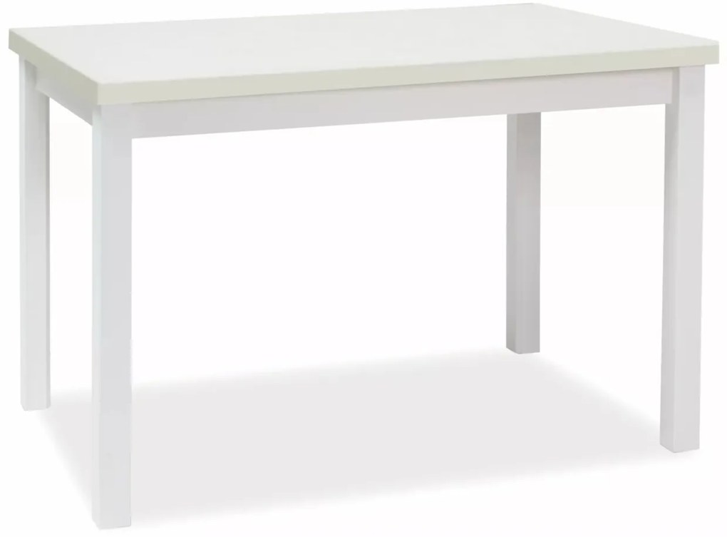 Masa Adam alb mat L120xl68 cm