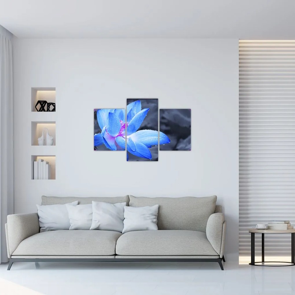 Tablou florilor în detailu (90x60 cm)