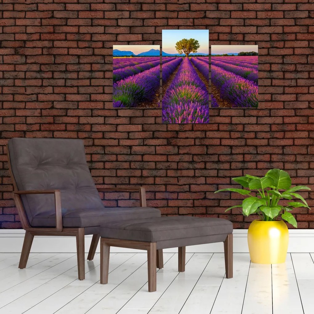 Tablou - Câmp de lavandă (90x60 cm)