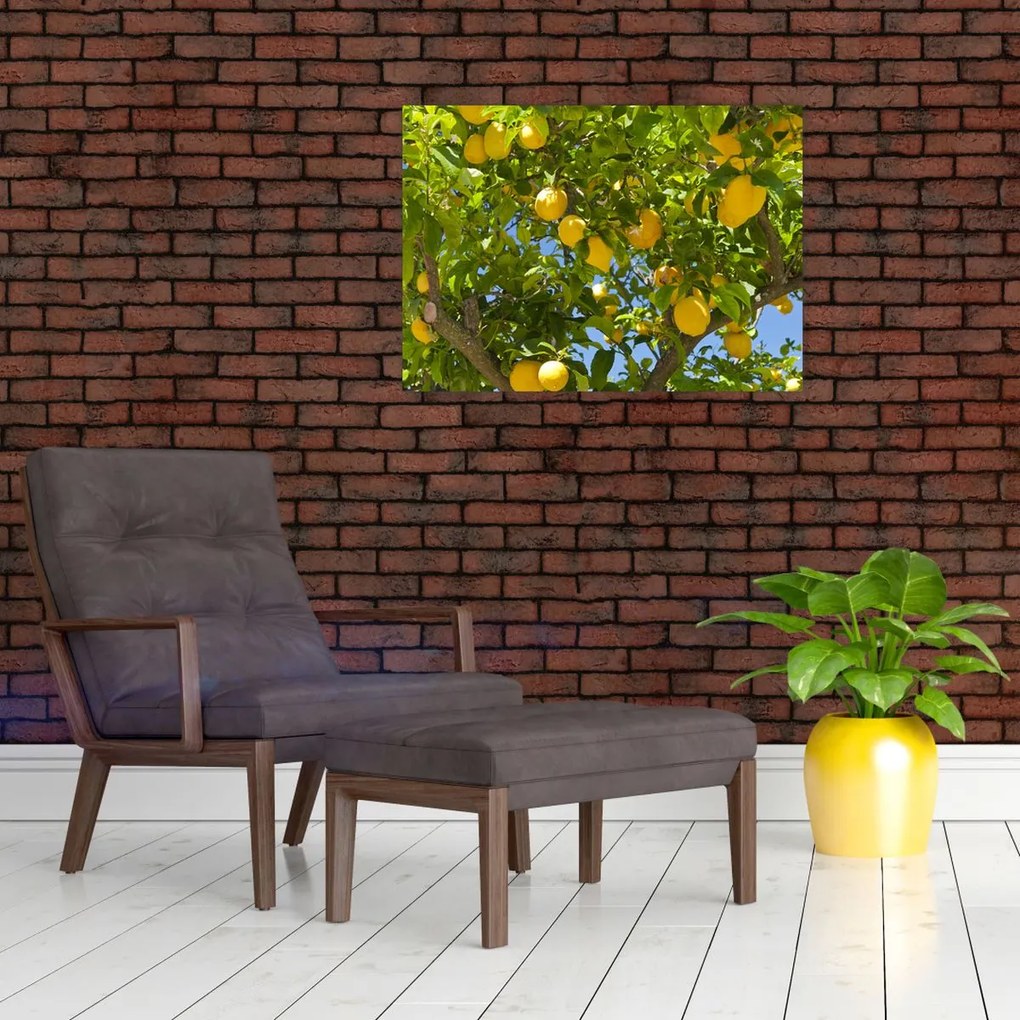 Tablou - Lămâiță (70x50 cm)