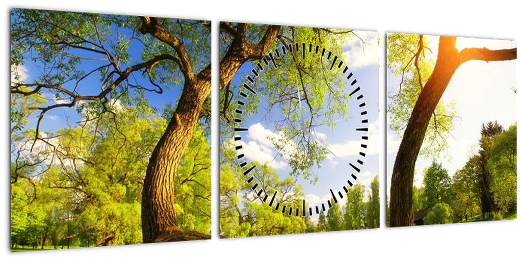 Tablou lunca ne primăvară (cu ceas) (90x30 cm)