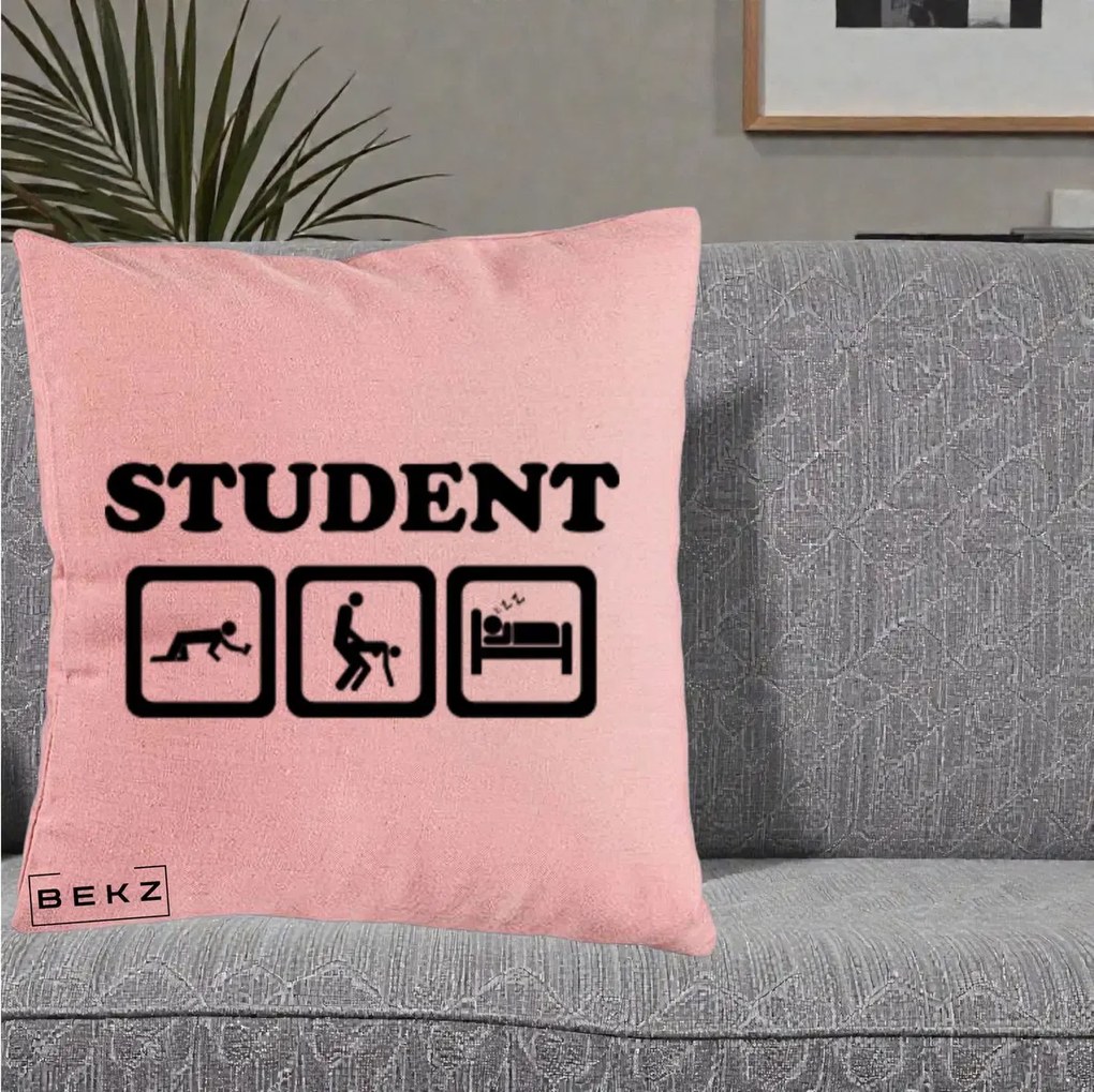 Perna Decorativa Student Life, 40x40 cm, Roz, Husa Detasabila, Perna Inclusa, BEKZ®