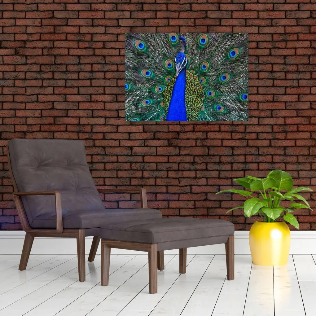 Tablou - Păun (70x50 cm)