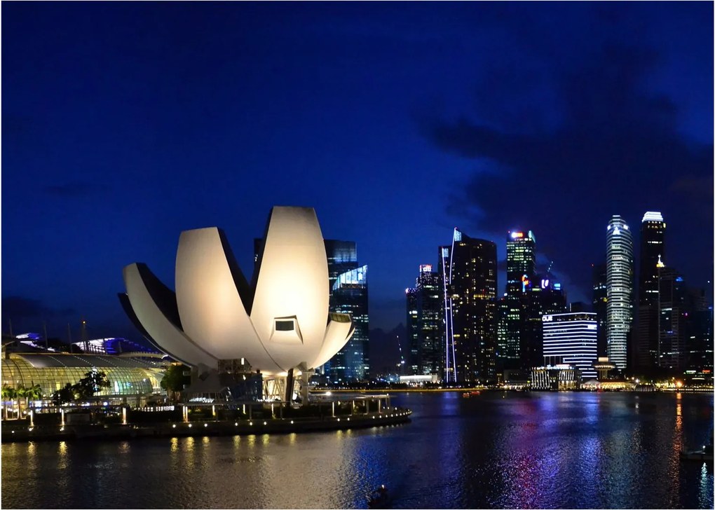Tablou pe sticlă Singapore nocturn (70x50 cm)