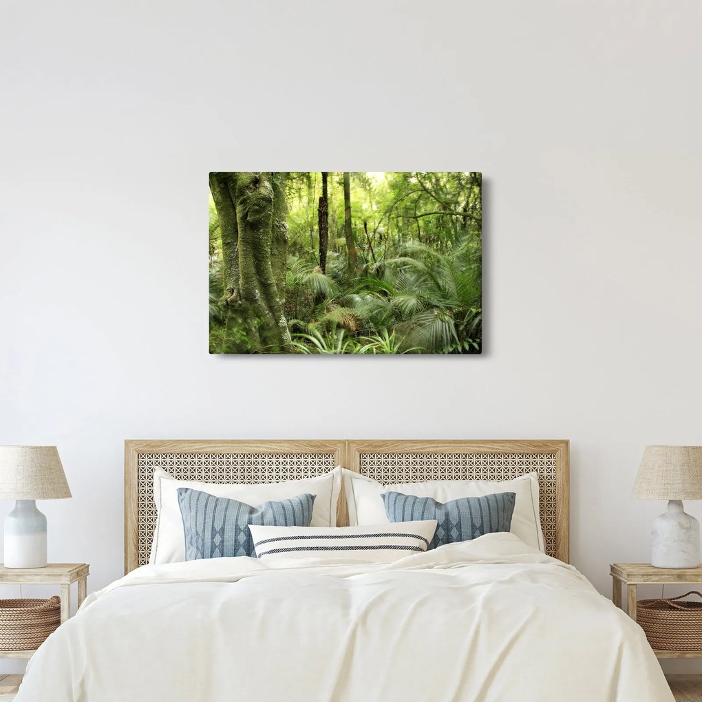 Tablou - Pădure tropicală (90x60 cm)