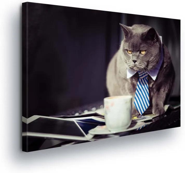 GLIX Tablou - Elegant Cat 100x75 cm