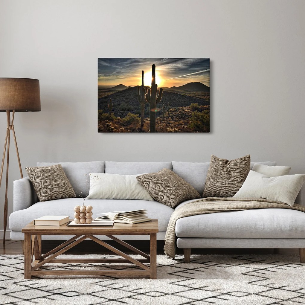 Tablou - cactușii la soare (90x60 cm)
