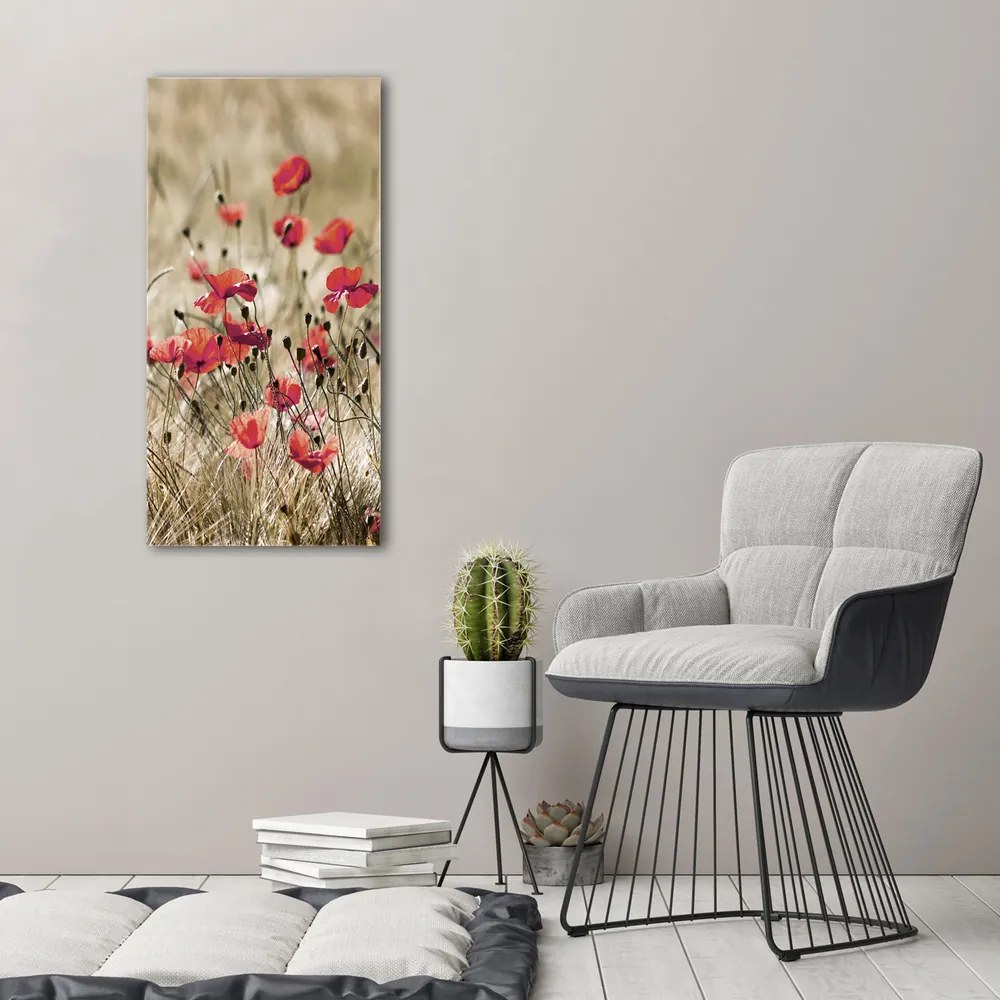 Imprimare tablou canvas Flori de câmp