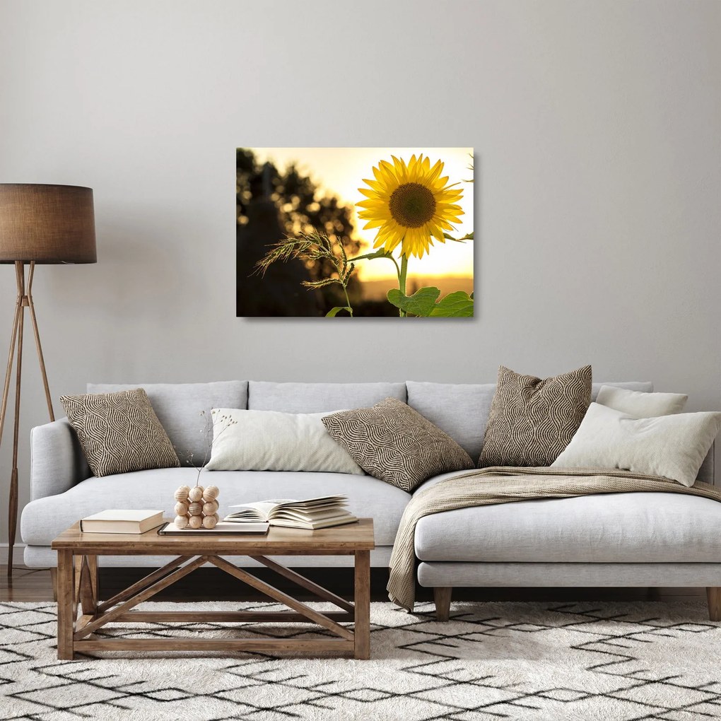 Tablou pe sticlă cu floarea soarelui (70x50 cm)