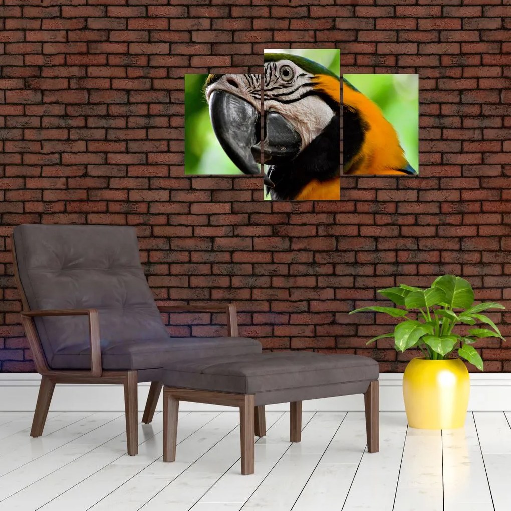 Tablou cu papagal (90x60 cm)