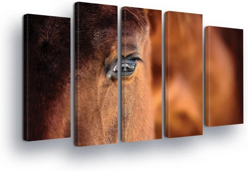 GLIX Tablou - Horse view 2 x 30x80 / 3 x 30x100 cm
