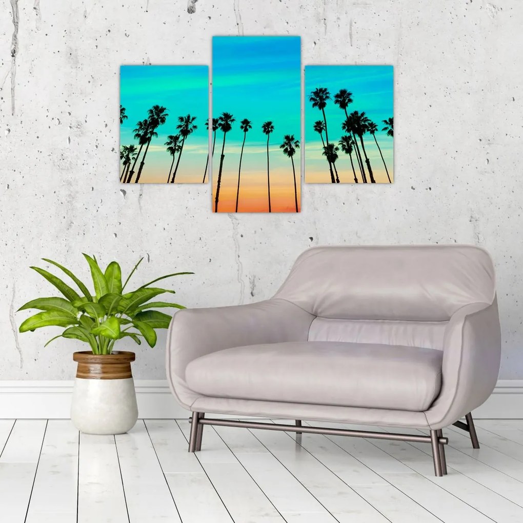 Tablou - California (90x60 cm)