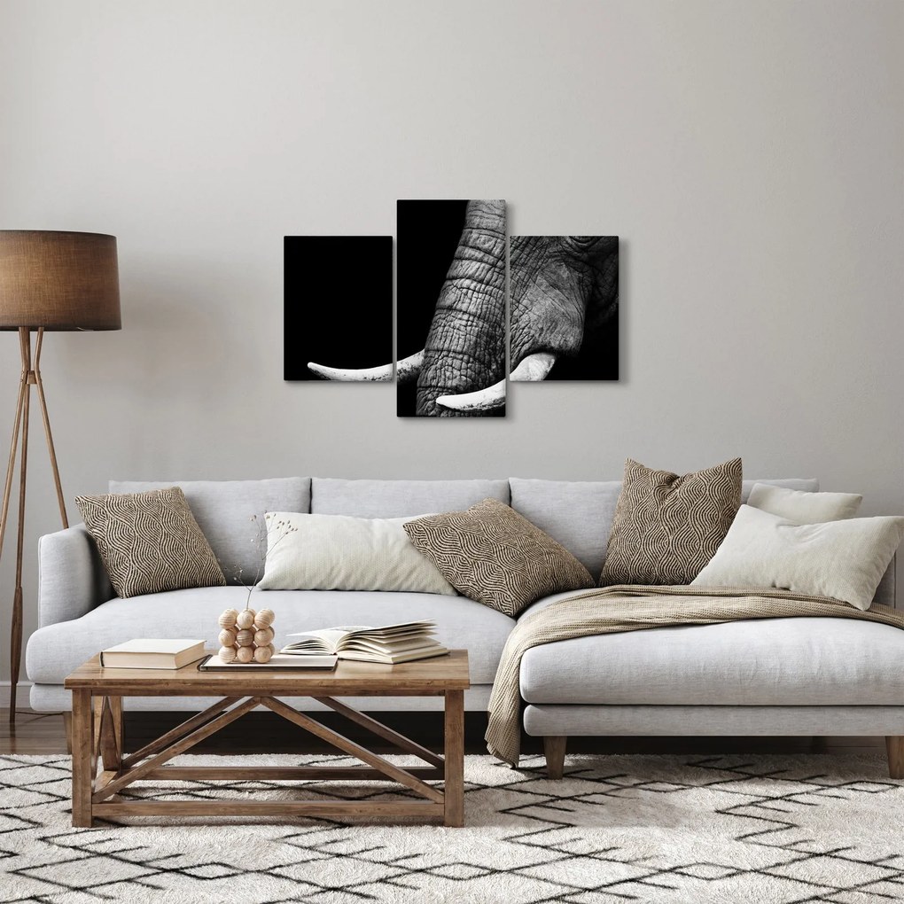 Tablou - Colți de elefant (90x60 cm)