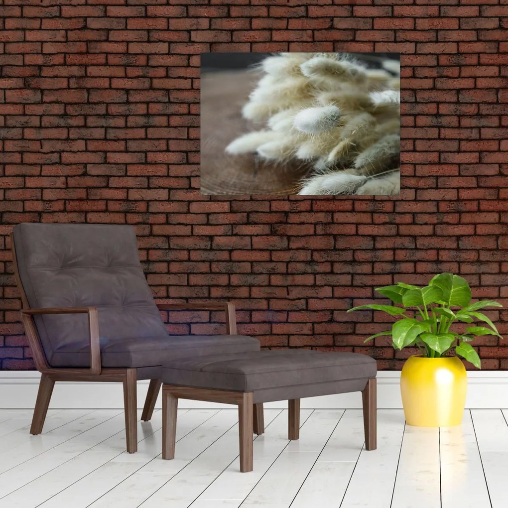 Tablou - Coadă de iepure (70x50 cm)