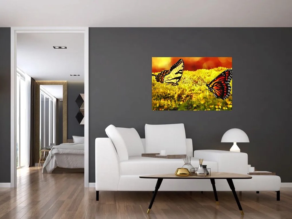 Tablou cu fluturi (90x60 cm)