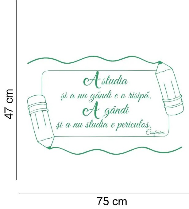 Sticker perete A studia si a gandi