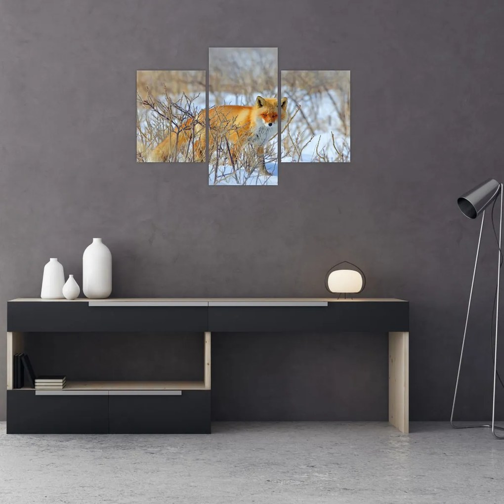 Tablou - Vulpe (90x60 cm)