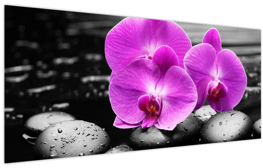 Tablou - Orhidee violet (120x50 cm)