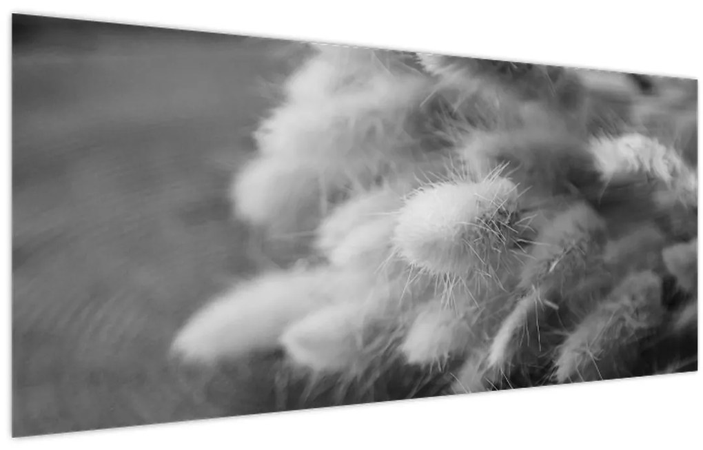 Tablou - iarbă de coadă de iepure pe masă (120x50 cm)