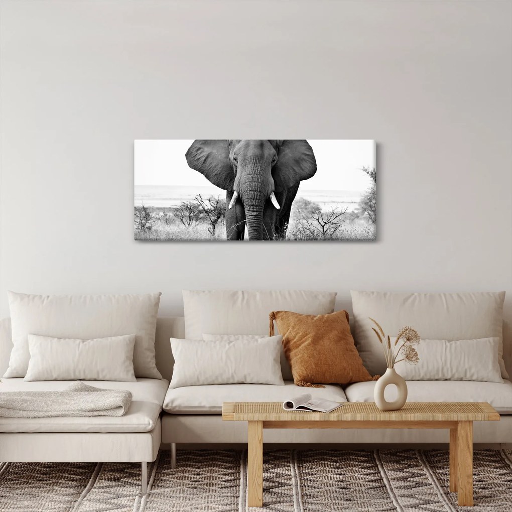 Tablou - Elefantul african II. (120x50 cm)