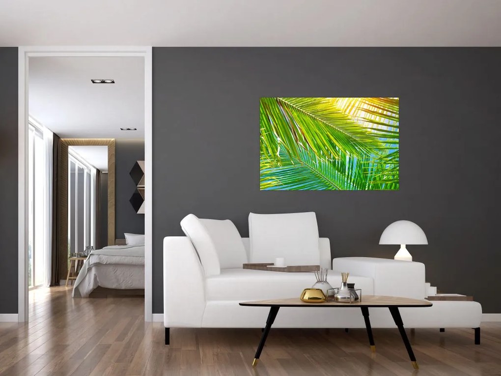 Tablou - Frunze de palmier (90x60 cm)