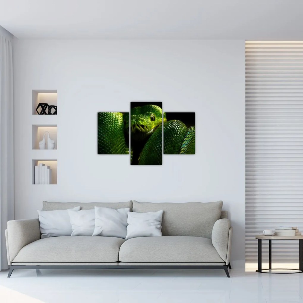 Tablou - Șarpele verde (90x60 cm)