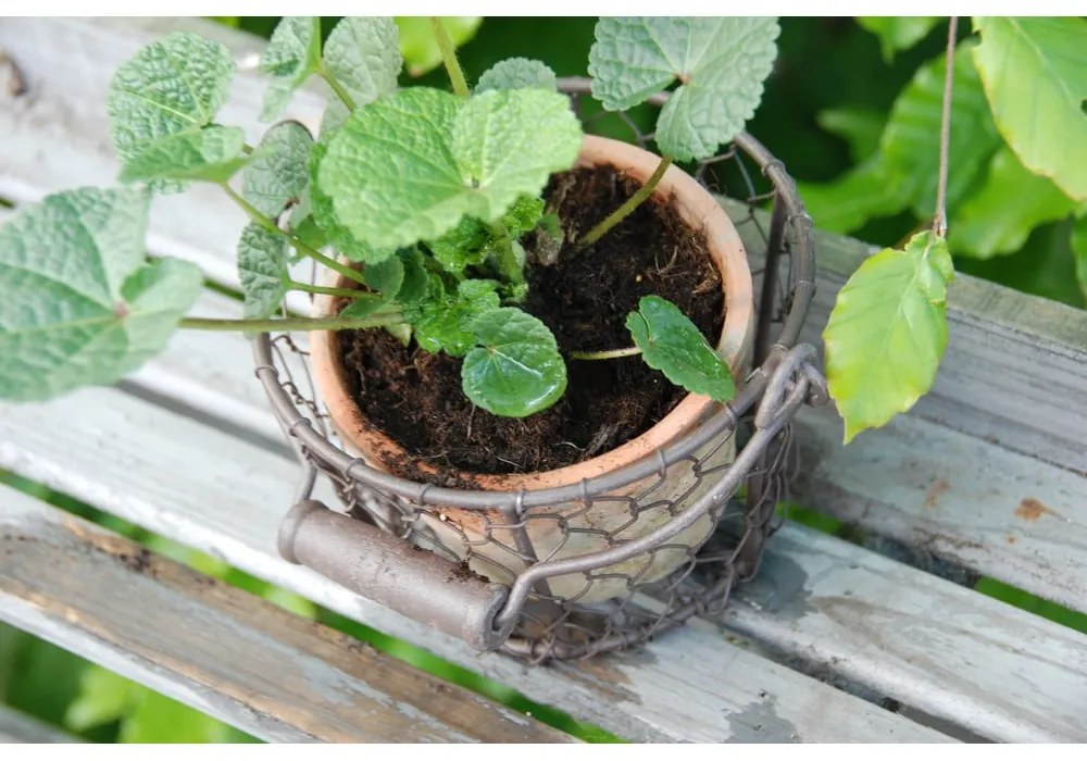 Ghiveci din teracotă handmade ø 12 cm – Esschert Design