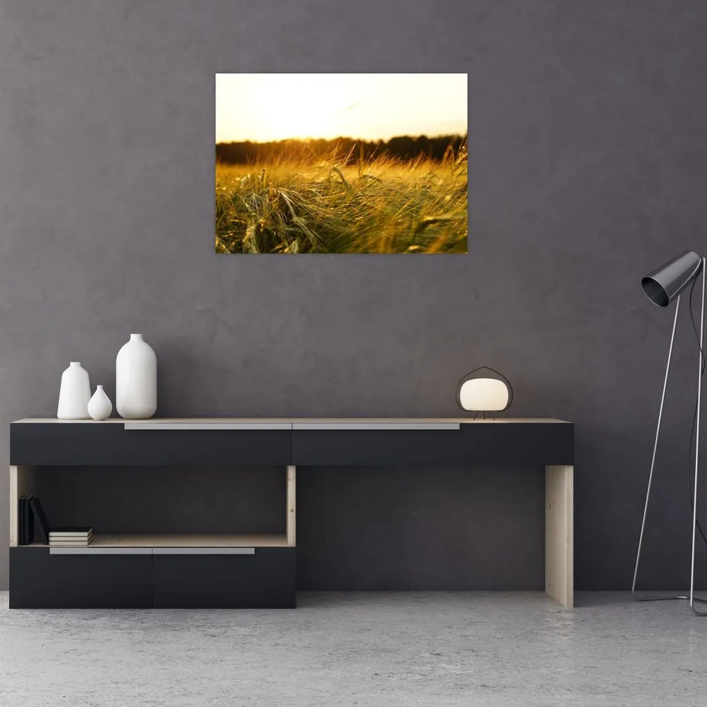 Tablou iarba cu rouă (70x50 cm)