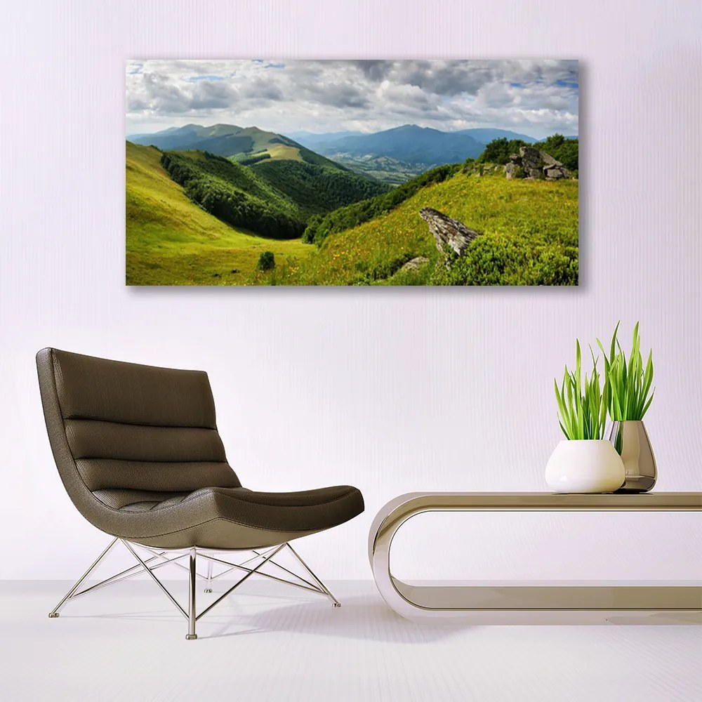 Tablou pe panza canvas Mountain Meadow Peisaj Verde Gri