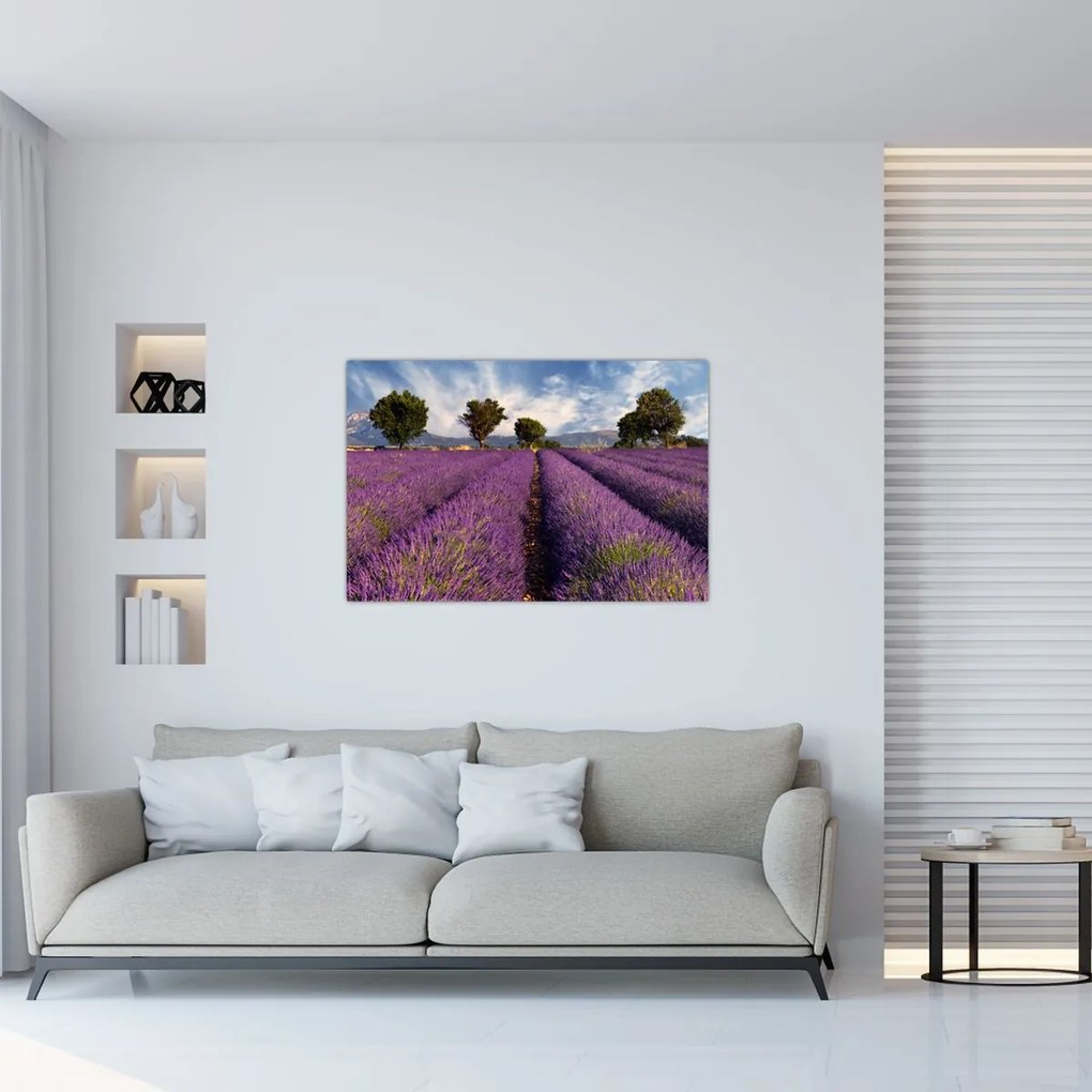 Tablou - câmp de lavandă și munți (90x60 cm)