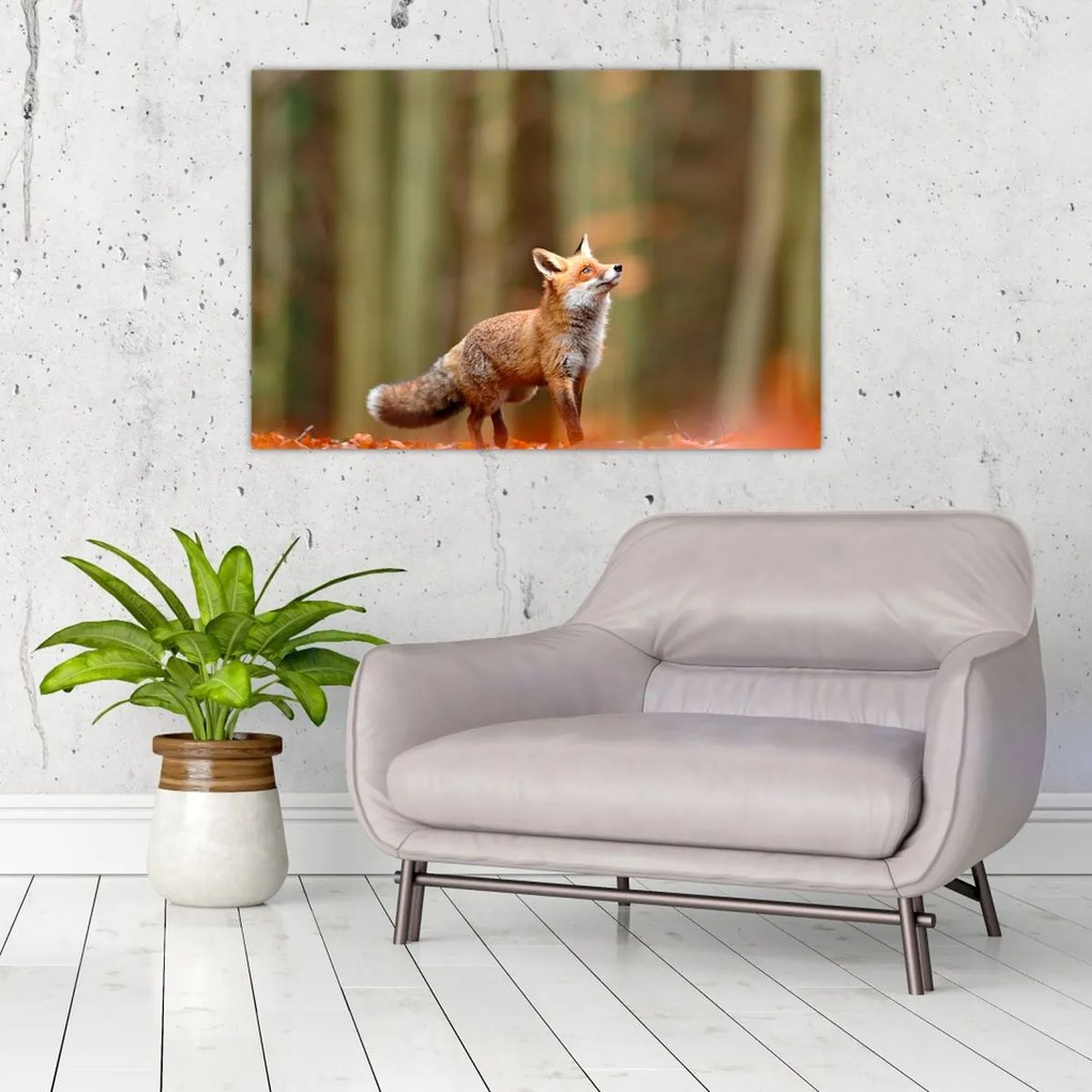 Tablou - Vulpe (90x60 cm)