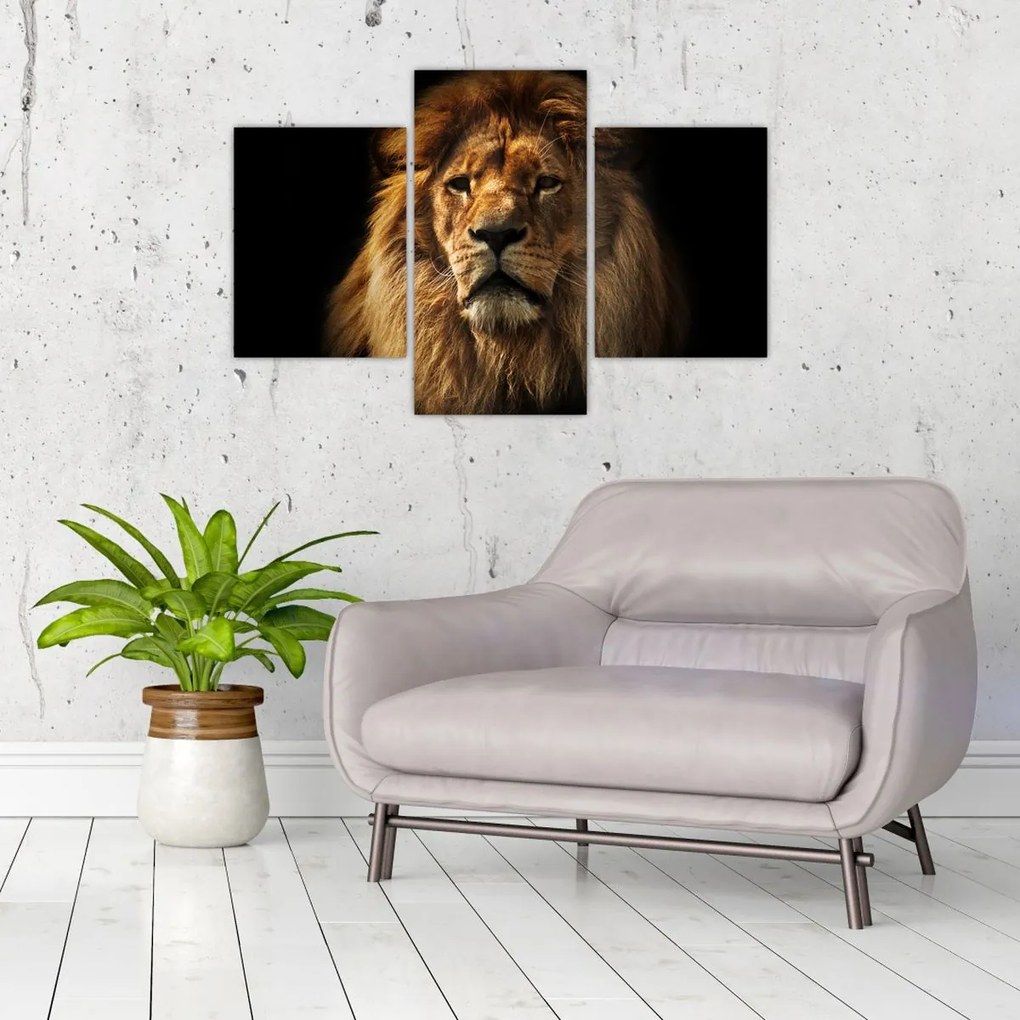 Tablou - Leu cu o coamă bogată (90x60 cm)