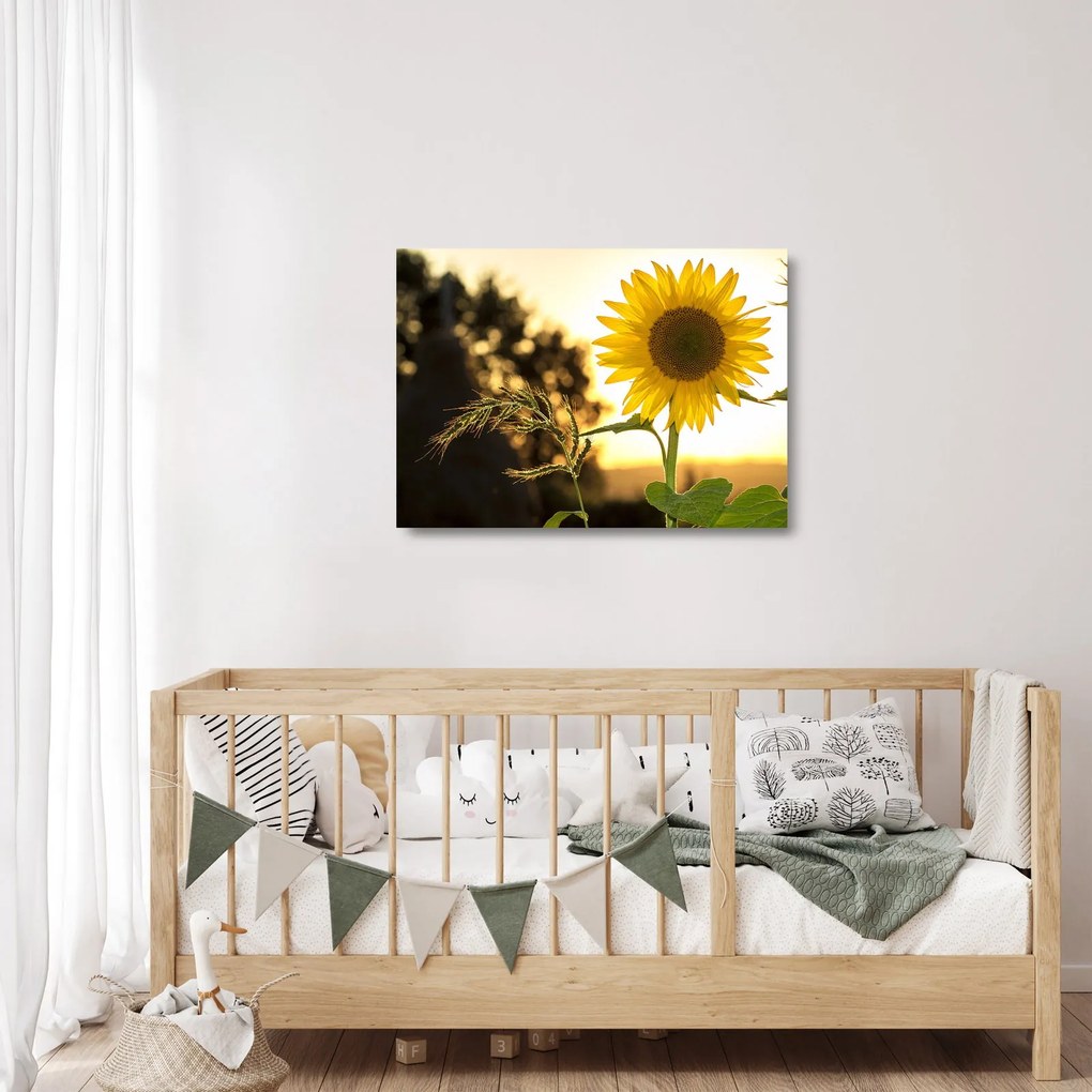 Tablou pe sticlă cu floarea soarelui (70x50 cm)