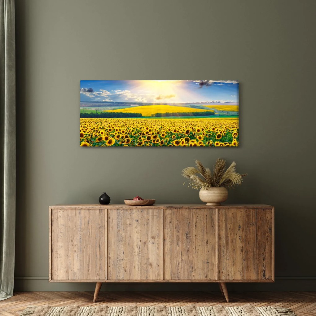 Tablou - Câmp cu floarea soarelui (120x50 cm)