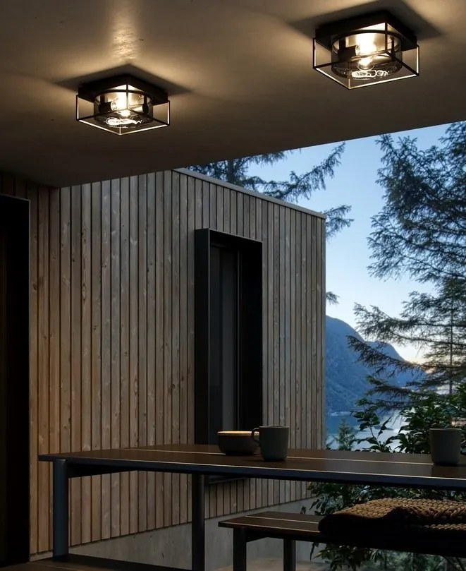 Plafoniera exterior IP44 design modern Griffin Smoked