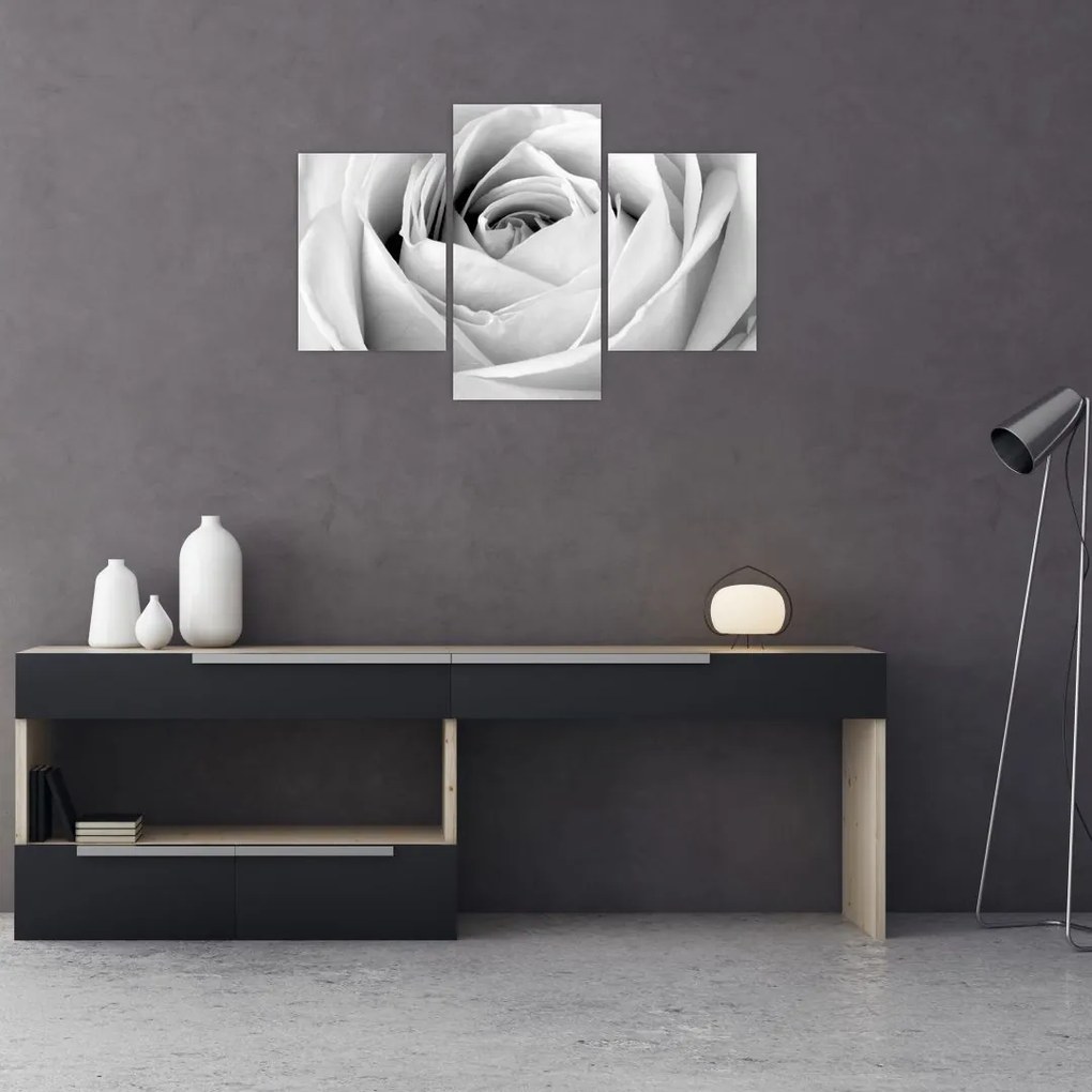 Tablou - Detailu de floare de trandafir (90x60 cm)