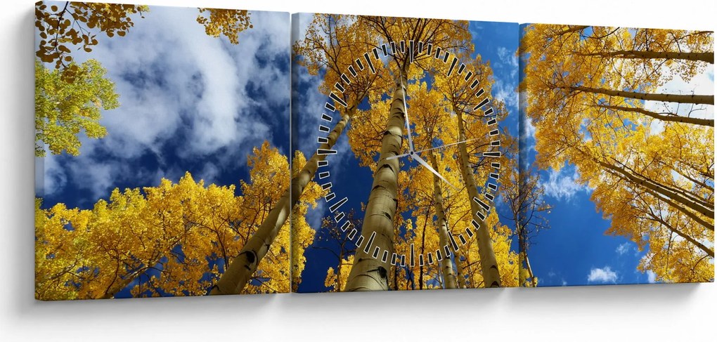 Tablou - Aspen (cu ceas) (90x30 cm)