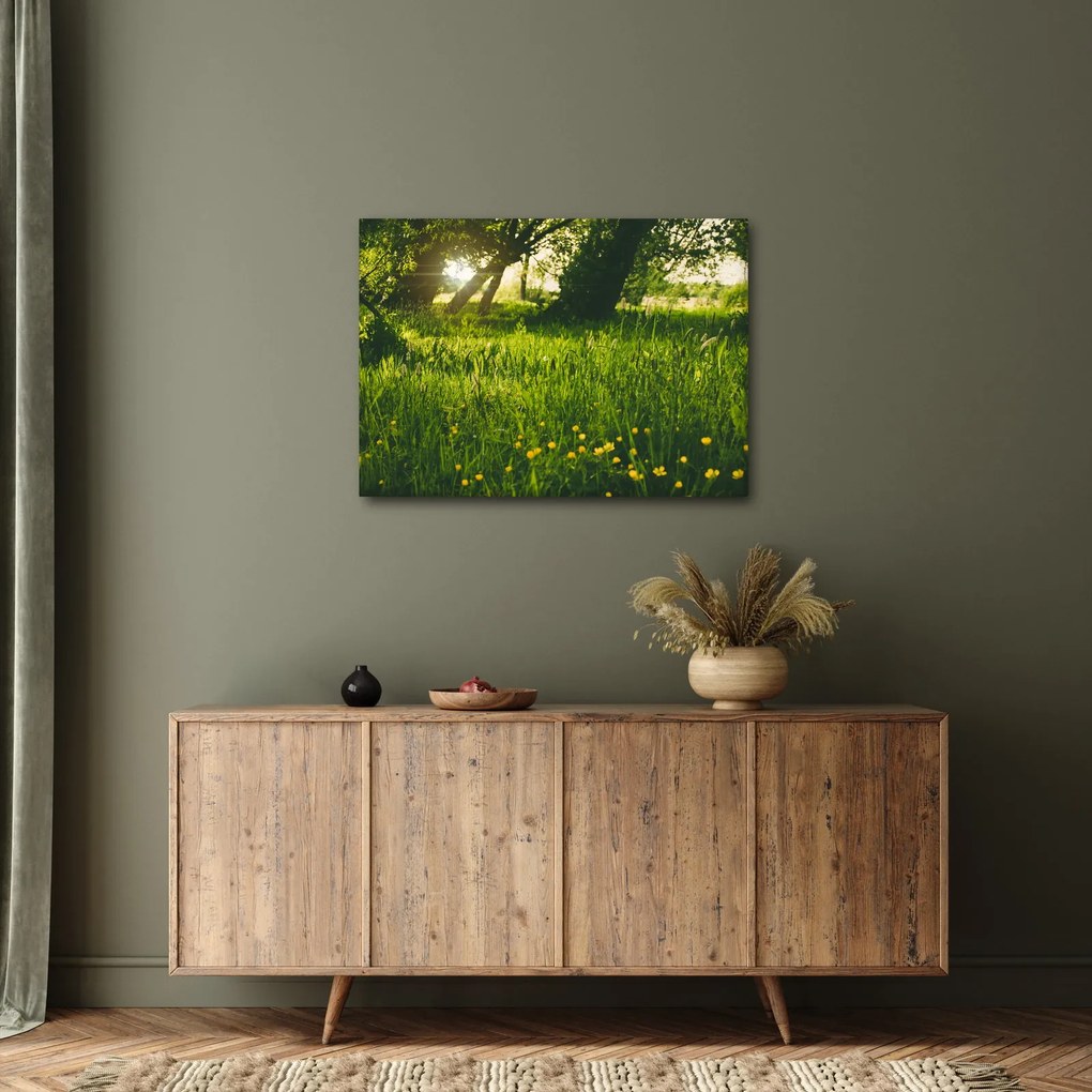 Tablou cu natura - lunca (70x50 cm)