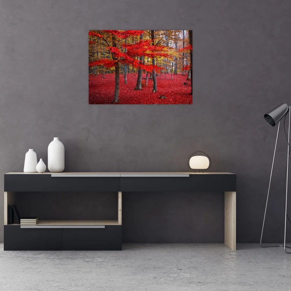 Tablou pe sticlă - Pădurea roșie (70x50 cm)